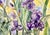 Paper Original Watercolor Painting “Amethyst Iris” For Sale - Image 7 of 9