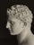Bust of Meleager, Late 20th century, Stone For Sale - Image 11 of 18