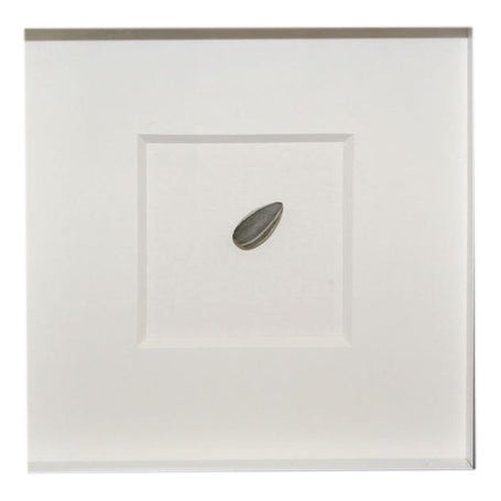 Ai Weiwei, Unilever Series Installation, 2010, Sunflower Seed on Cardboard For Sale