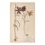 Vintage Swedish Herbarium - Fritillaria ~ Checkered Lily, Circa 1937 For Sale