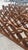 Wood Mid 20th Century Four Panels Teak Folding Screen Room Divider For Sale - Image 7 of 8