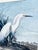 John James Audubon Vintage Ornithological Snowy Heron/White Egret Print Beautifully Matted and Framed Excellent Condition. For Sale - Image 11 of 14