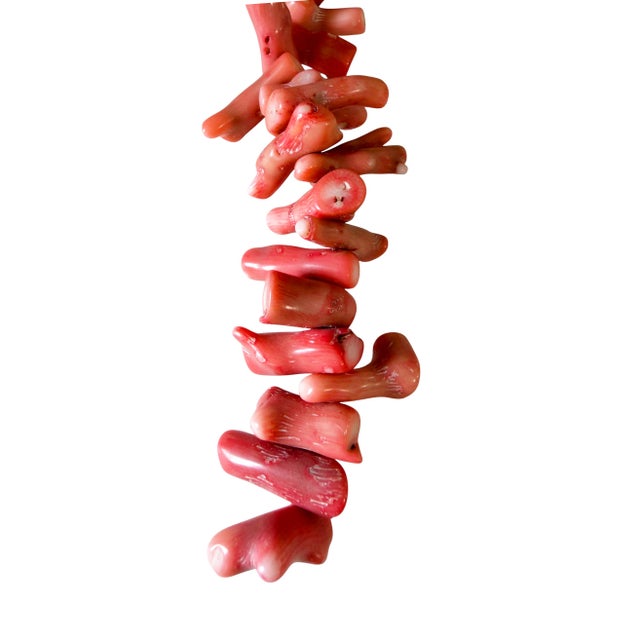 African Vintage Natural African Angel Skin Coral Branch Trade Beads Strand /Currency /Necklace 52 Pieces For Sale - Image 3 of 7