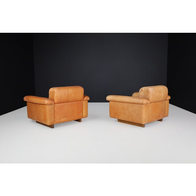 Animal Skin Swiss DS 45 Lounge Chairs in Patinated Leather from de Sede, 1970s, Set of 4 For Sale - Image 7 of 17