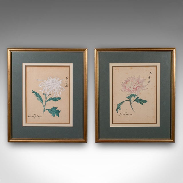 This is a pair of vintage botanical pictures. A Japanese, framed woodblock print in the manner of Keika Hasegawa, dating...