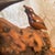 Vintage 7 Wooden Birds on Carved Burl Wood Sculpture For Sale - Image 4 of 12