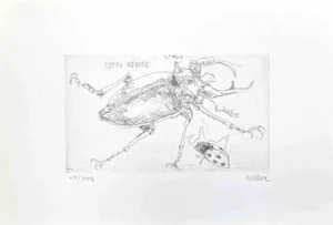 Sergio Barletta, Insects, Etching, 1974