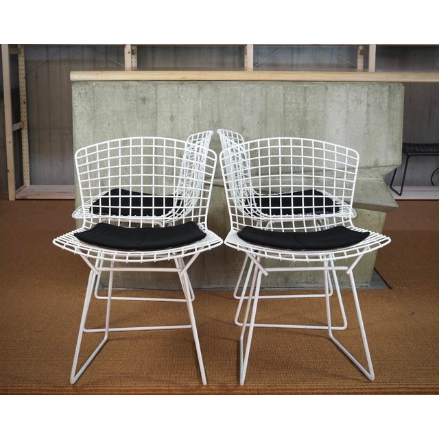 Bertoia Side Chairs with Cushion by Harry Bertoia for Knoll International, Set of 4, in Very Good conditions. Designed...