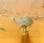 1970s Agate Stone Turtle Lamp Finial For Sale - Image 4 of 4