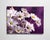Bright white daisies burst forth against a rich, deep purple background, creating a vibrant contrast that exudes a sense...