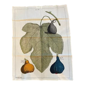 Williams Sonoma Cotton Kitchen Towel