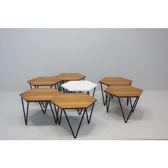 Tan Coffee Tables by Gio Ponti for Isa Bergamo, Italy, 1950s, Set of 7 For Sale - Image 8 of 15