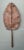 Vintage Metal Botanical Leaf Art For Sale - Image 11 of 12