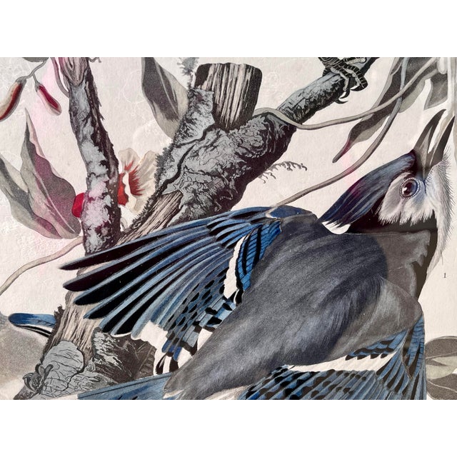 1960s XLarge 35"h Reproduction Prints of Audubon "Birds of America" Engravings by R. Havell -Set of 2 For Sale In New York - Image 6 of 17