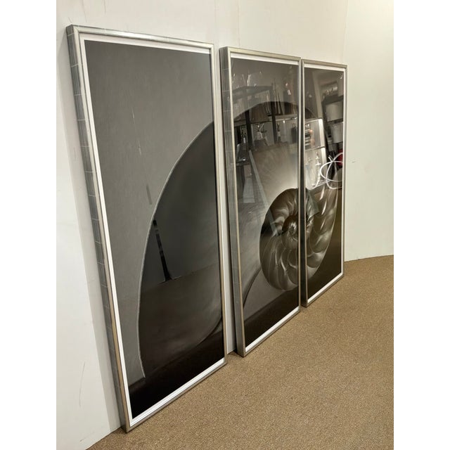 Soicher Marin Nautilus Set of 3 For Sale In Atlanta - Image 6 of 14