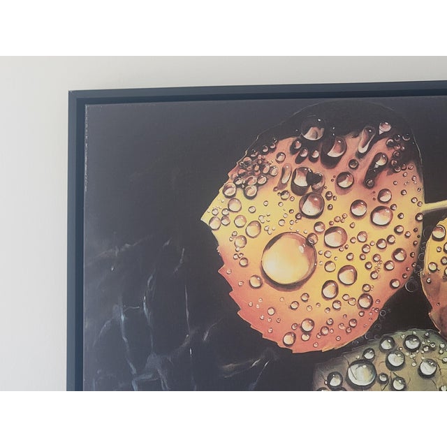 Black Large Rebecca Hodges Canvas Print of Autumn Leaves in Black Floating Frame For Sale - Image 8 of 11