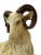 Vintage Mid Century, Hollywood Regency, Neo Classic, Ceramic Sculptural Ram For Sale In Los Angeles - Image 6 of 7