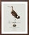 William Lewin 1789 Waterbirds Fine Art Gallery Board Print - Black Tailed Godwit For Sale In San Antonio - Image 6 of 13