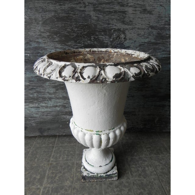 Antique Model Medicis Cast Iron Vase, 1890s For Sale - Image 10 of 11