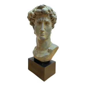 Large Scale Vintage Michelangelo’s David Bust Sculpture on Plinth