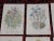 This set of twelve (12) authentic antique 19th century chromolithographs (each color laid in with a separate lithographic...