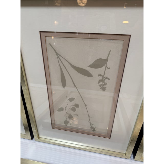 Contemporary Soicher Marin "Ghost Herberia in Celedon", Complete Series For Sale - Image 3 of 12