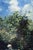 Not Yet Made - Made To Order Vintage French Impressionist Art Print – Summer Garden by Camille Pissarro, 36" X 48" For Sale - Image 5 of 8