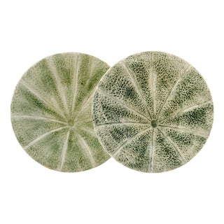 Vintage Bordallo Pinheiro Cantaloupe Melon Plates - Pair For Sale