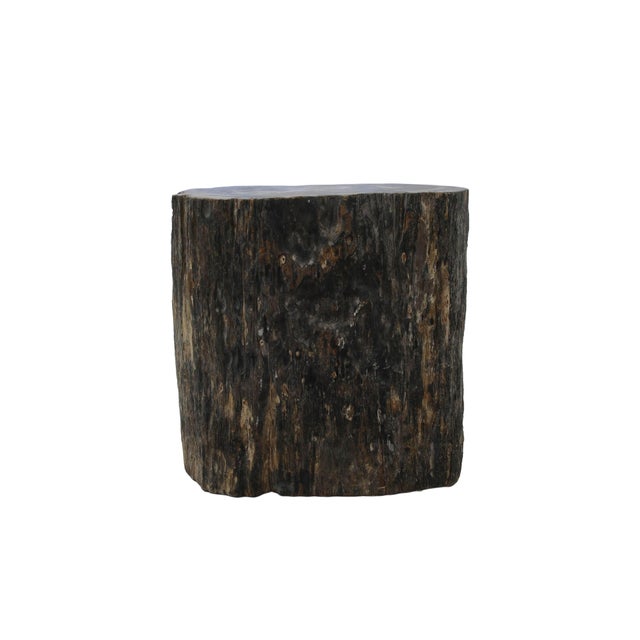 Petrified Wood Side Table by Xyleia Petrified Wood For Sale - Image 4 of 9