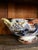 Ridgway Porcelain 1900s Ridgway Corey Hill Footed Oblong Tureen Bowl Imari Asian Orange Flow Blue 14.25" For Sale - Image 4 of 12