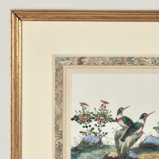 Chinese Pair of Antique Chinese Pith Paintings of Birds For Sale - Image 3 of 18