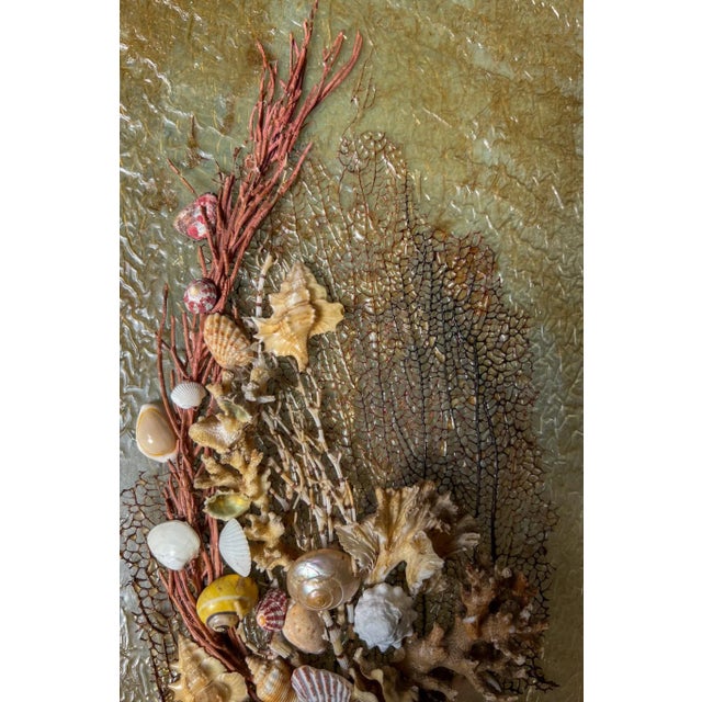 Mid-Century Seashell Encrusted Framed Art – A Pair – Coastal Cottage / Organic Modern For Sale - Image 10 of 11