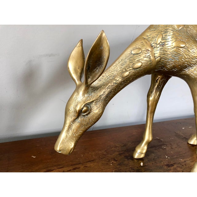 Large Brass Deer a Pair Chairish