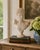 A finely modeled vintage plaster bust depicting Hermes, the classical messenger god, with tightly curled hair, a...