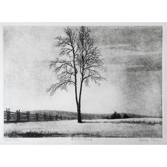 Vintage Mid Century Lone Tree Landscape Etching For Sale In Seattle - Image 6 of 6