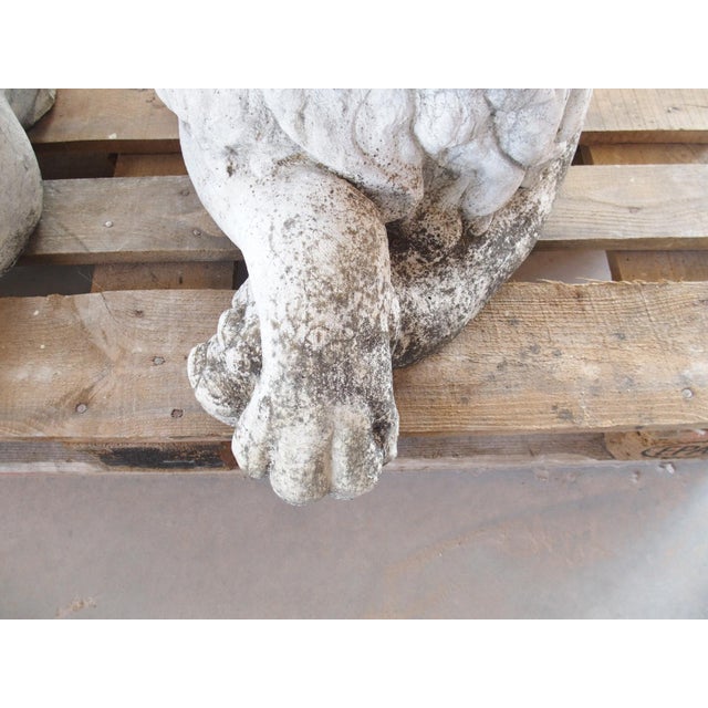 Traditional Pair of Recumbent Reconstituted Stone Garden Lions From Belgium, Circa 1960 For Sale - Image 3 of 12