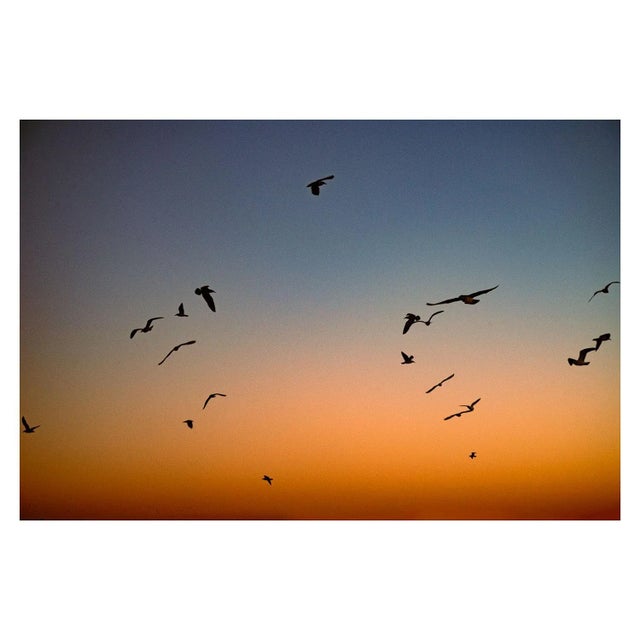 "Pattern" Contemporary Coastal Scene Gradient Photograph - 20x30 For Sale