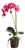 Phalaenopsis Drop-In 23" For Sale