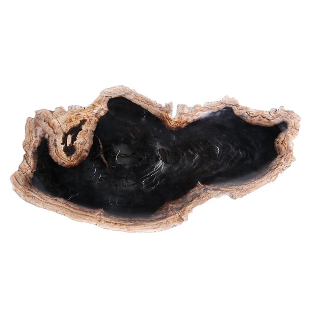 Hand Cut & Petrified Wood Board 3 For Sale - Image 4 of 8