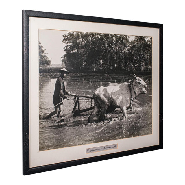 Vintage Photograph, Rural Indonesia, Oriental, Monochrome, Java, Mid Century For Sale