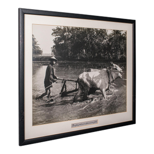 Vintage Photograph, Rural Indonesia, Oriental, Monochrome, Java, Mid Century