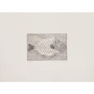 Massimo Baistrocchi, Fishbone, Etching, 20th Century For Sale