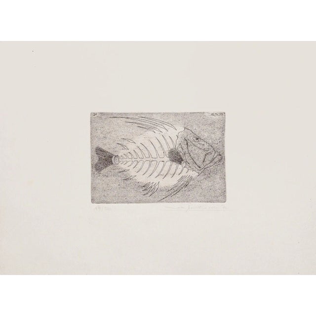Massimo Baistrocchi, Fishbone, Etching, 20th Century For Sale