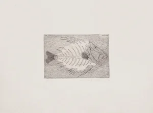 Massimo Baistrocchi, Fishbone, Etching, 20th Century