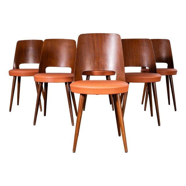 French Baumann Mondor Dining Chairs in Bentwood, 1960s, Set of 6 For Sale