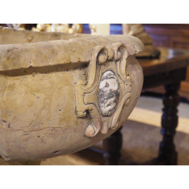 Early 21st Century A Carved Italian Giallo Reale Rosato Marble Stoup For Sale - Image 5 of 12