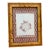 Antique Algae Herbarium Botanical in Vintage French Frame For Sale