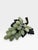 Introduce an air of elegant Chinoiserie luxury to your space with this authentic mid-century Chinese carved jade grape...