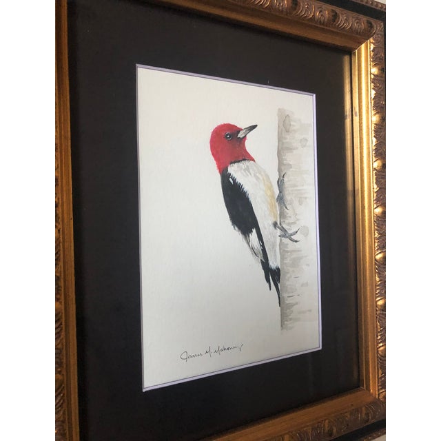 Original Redheaded Woodpecker Watercolor by James Mahoney For Sale - Image 9 of 11