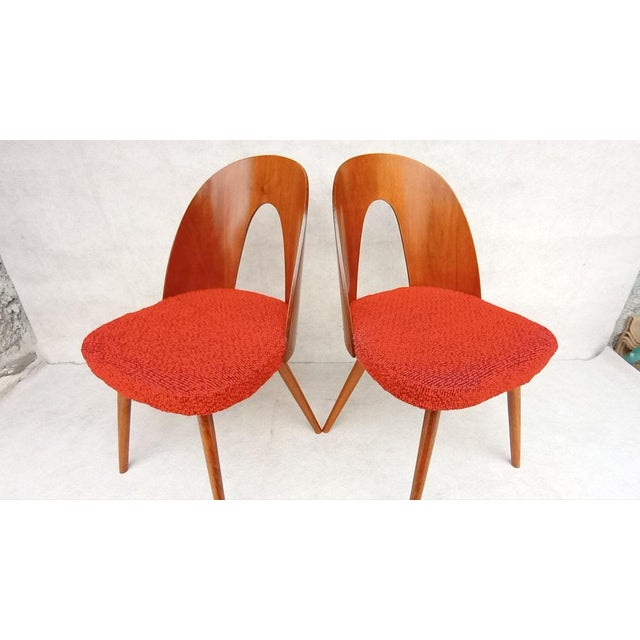 Mid-Century Dining Chairs by Antonin Suman, 1960s, Set of 2 For Sale - Image 5 of 13